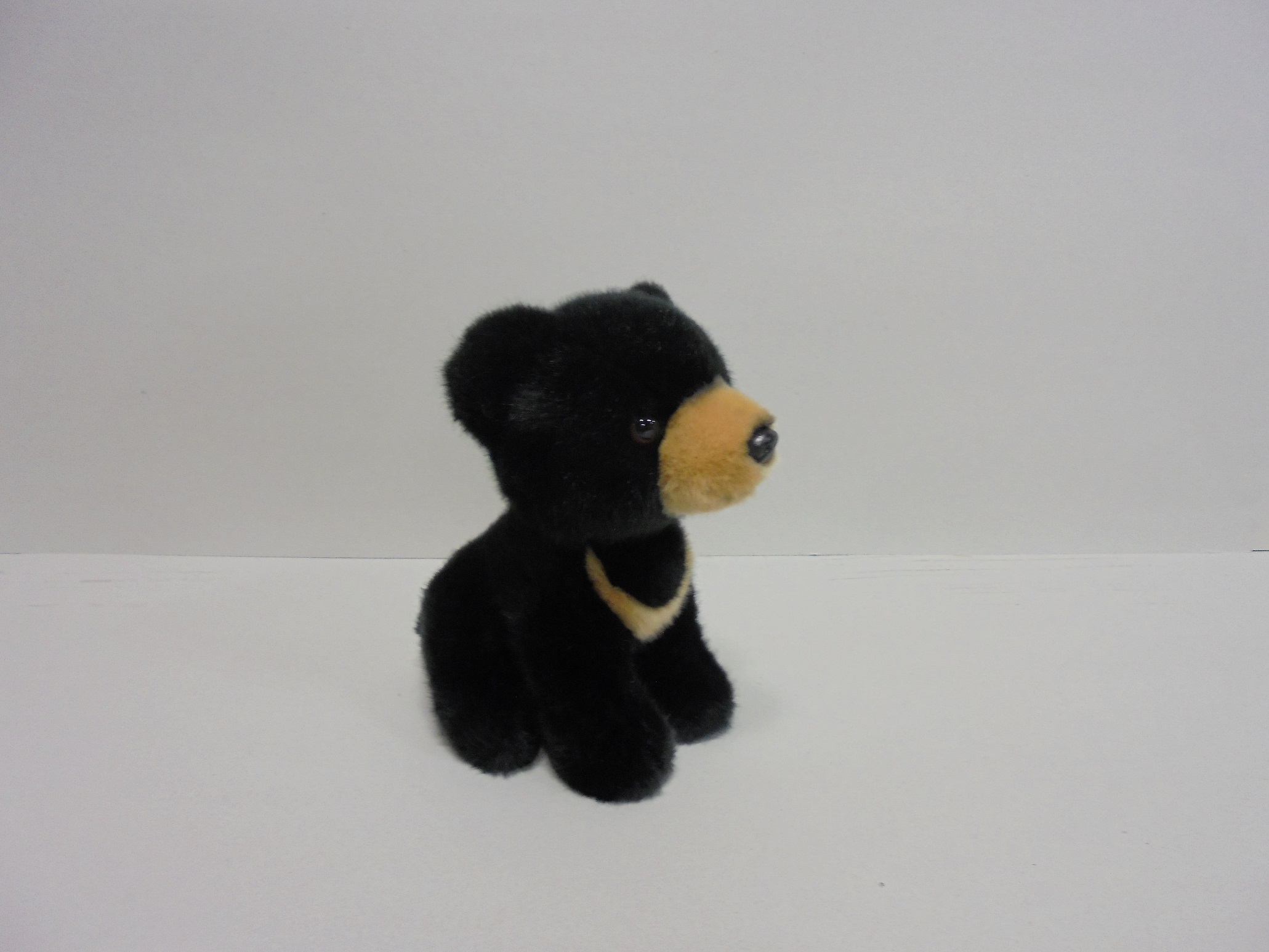 18cm Black Bear